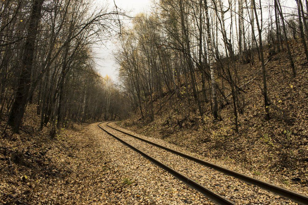 заброшенная дорога