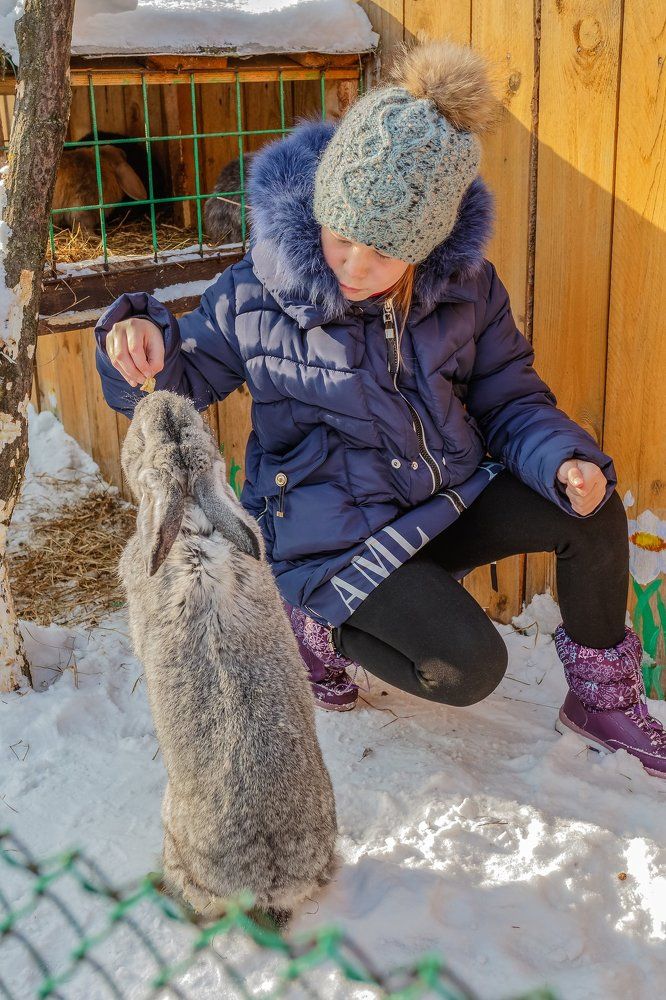 Накормить крола.