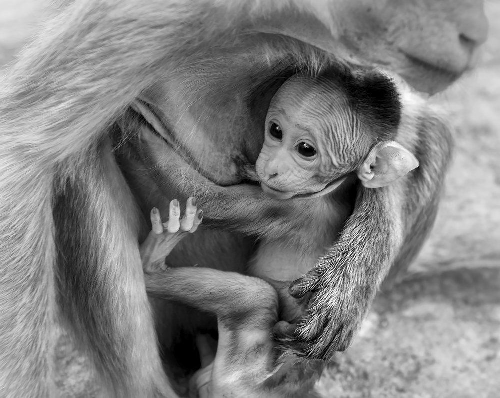 A special place in the world...