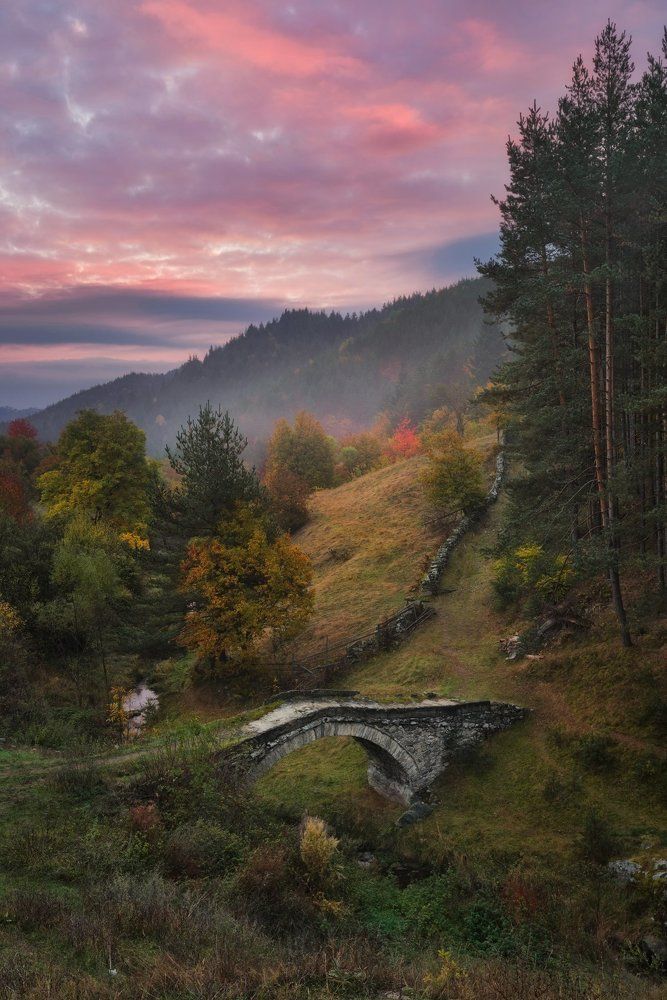 Осеннее утро