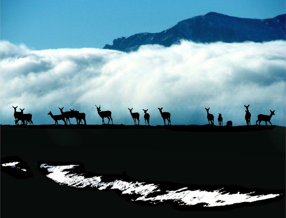 Весна  в горах Крыма