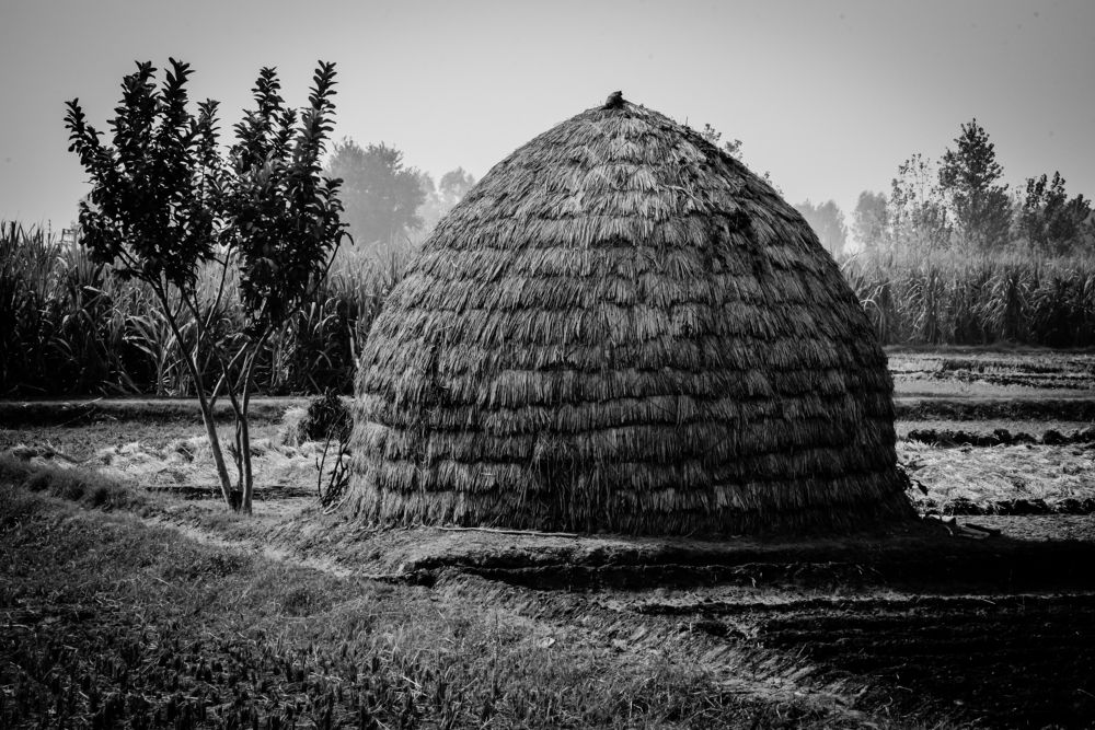 Simple living in nature