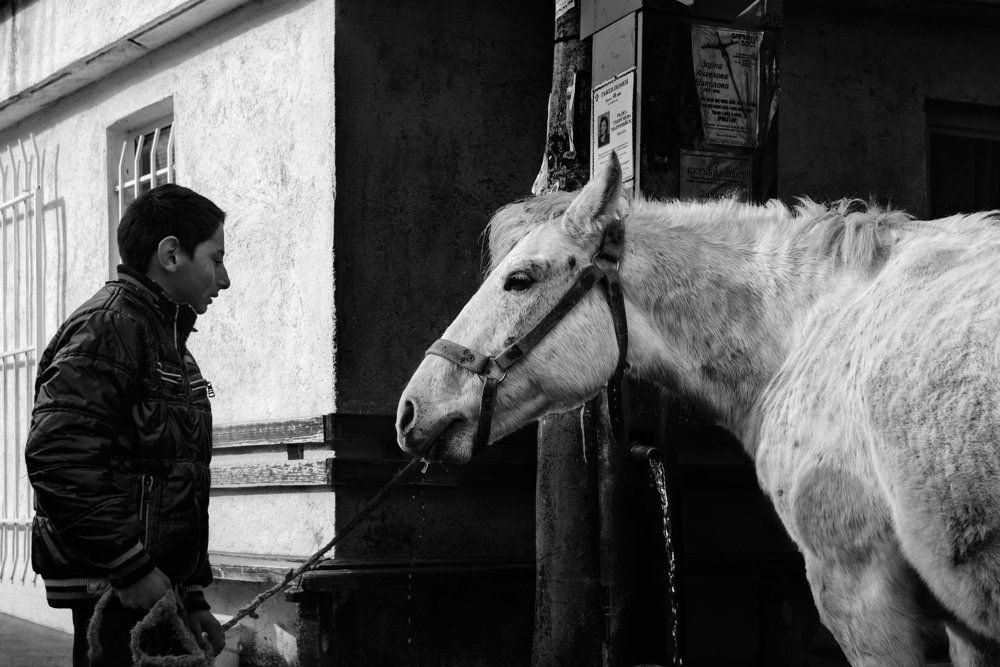 Жизнь в деревне