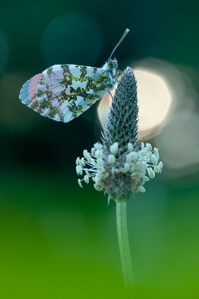 Аврора встречает новый день