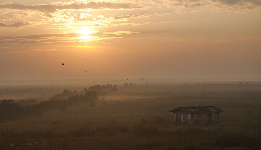 Утро в Аллаках