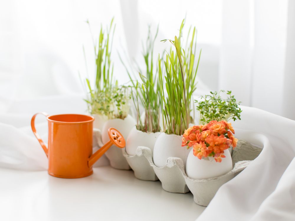 Весенний сюрприз