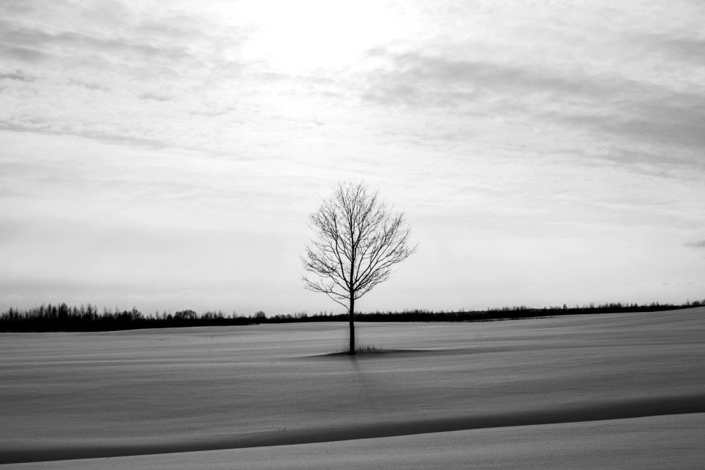 Photograph by Анастасия Ковалева