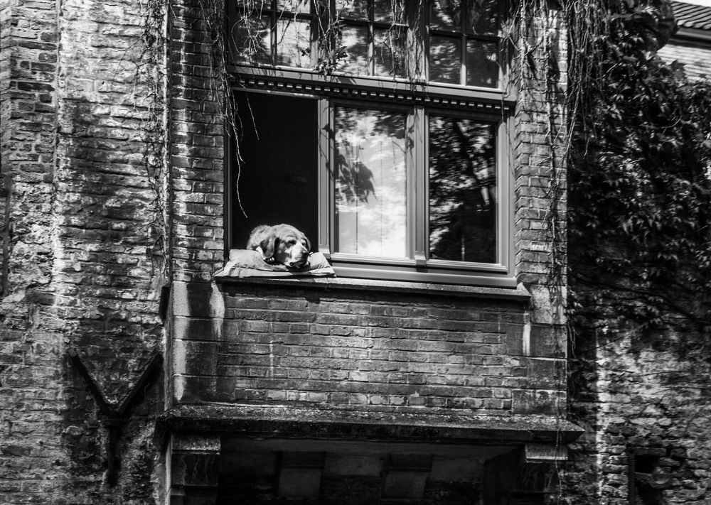 Где-то в Брюгге ...