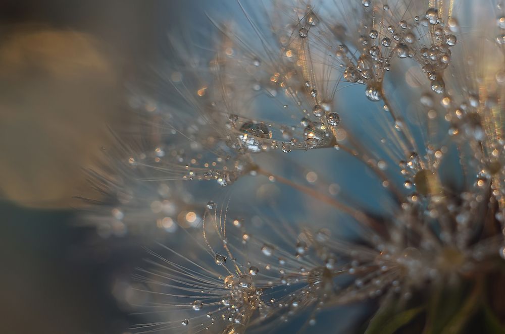 хрупкий мир