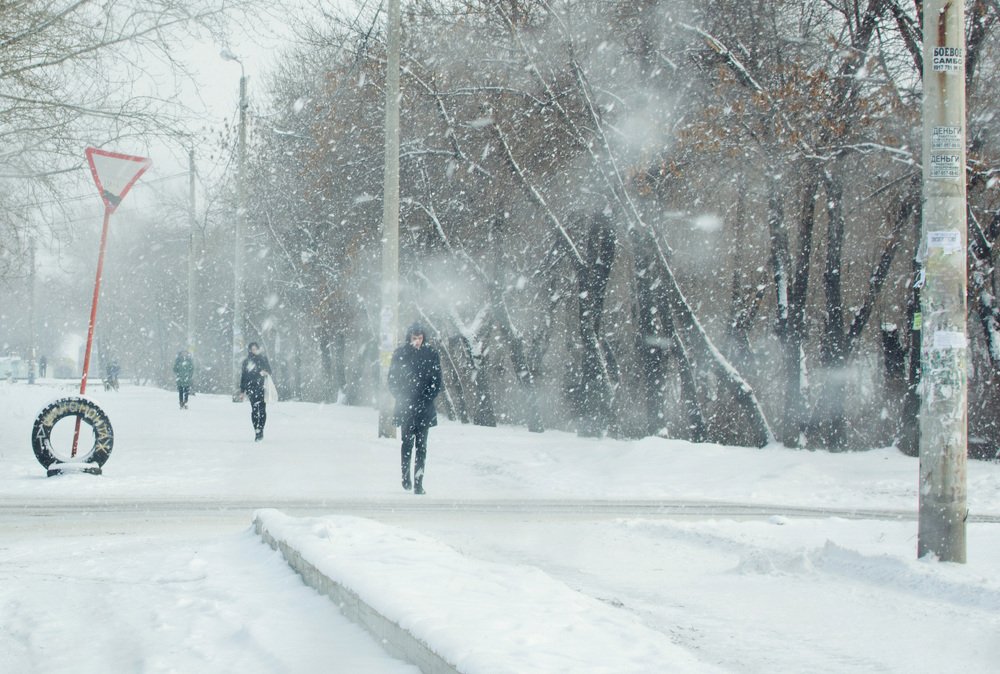 Дорога домой