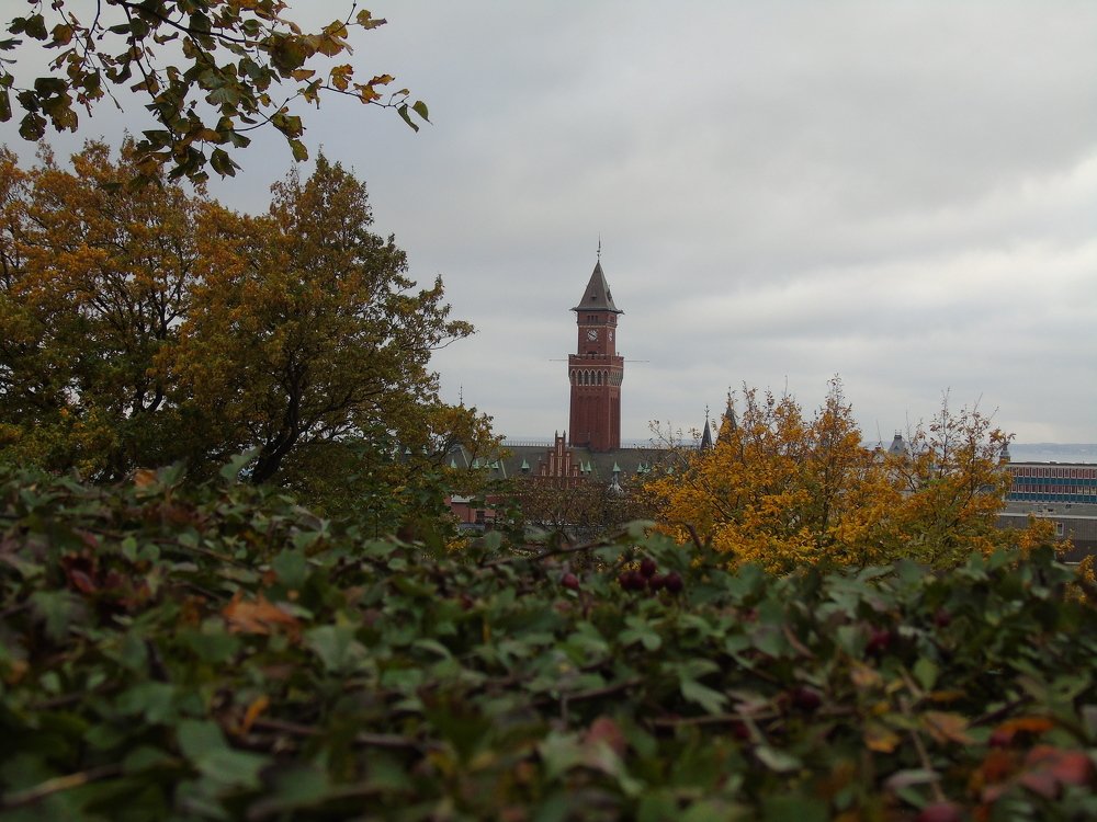 Вид на залив