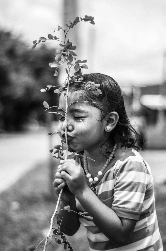 Love from the countryside to the city