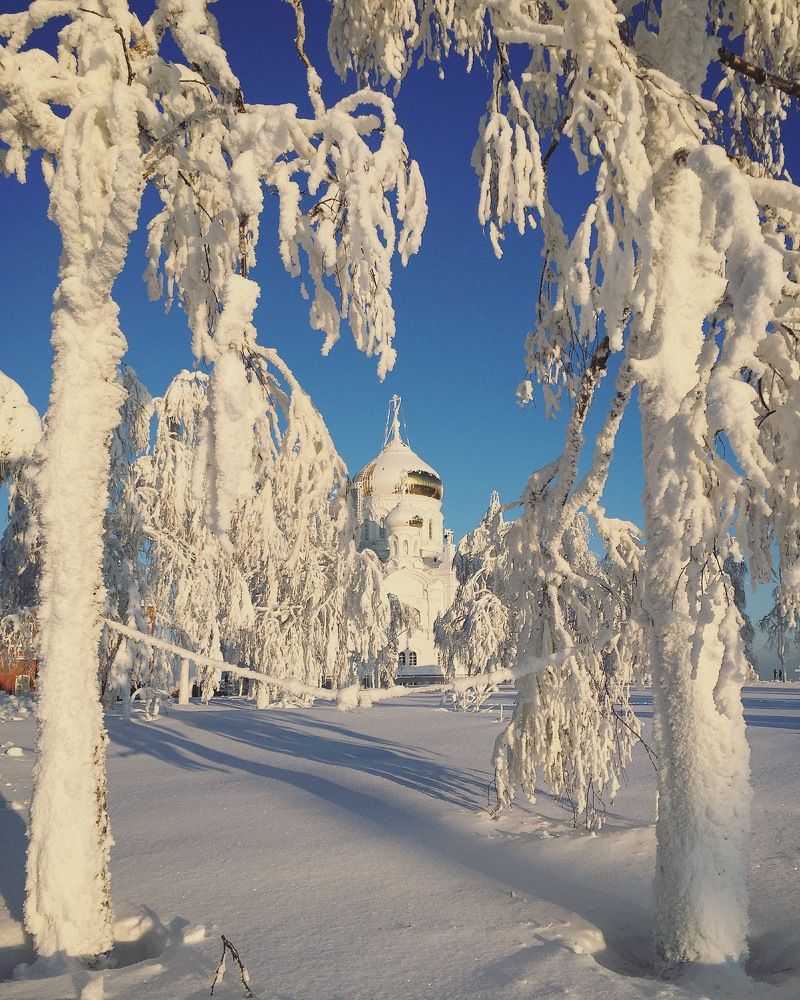 Рождественская сказка