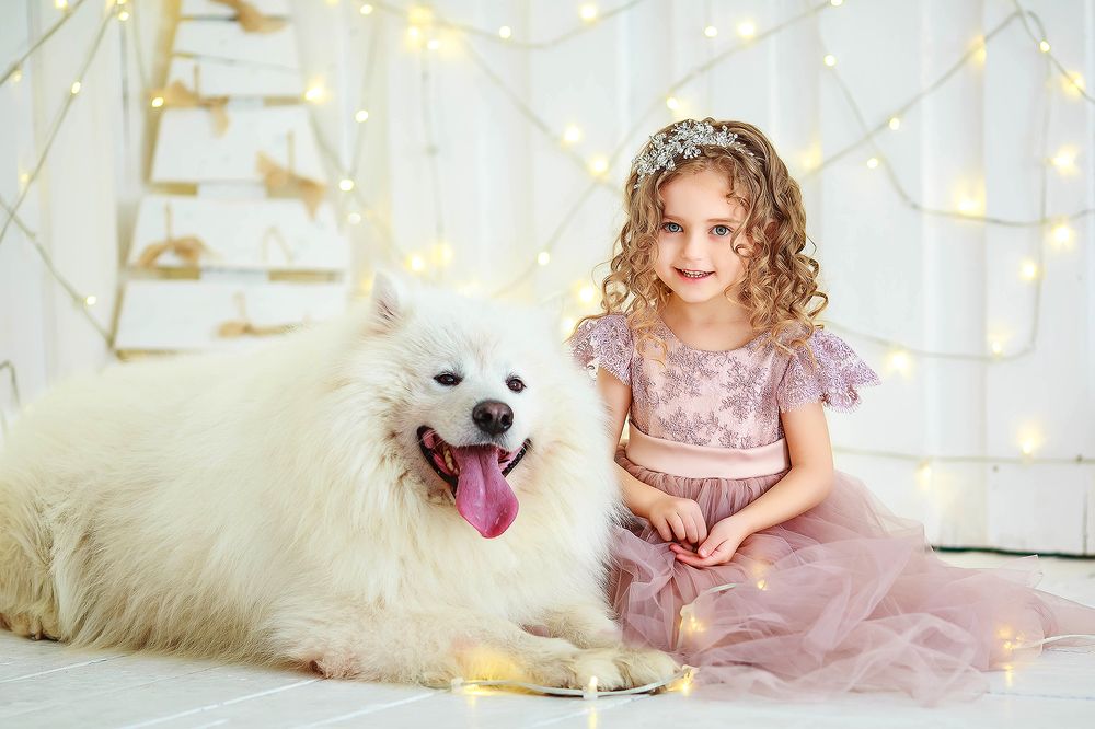 Любите животных