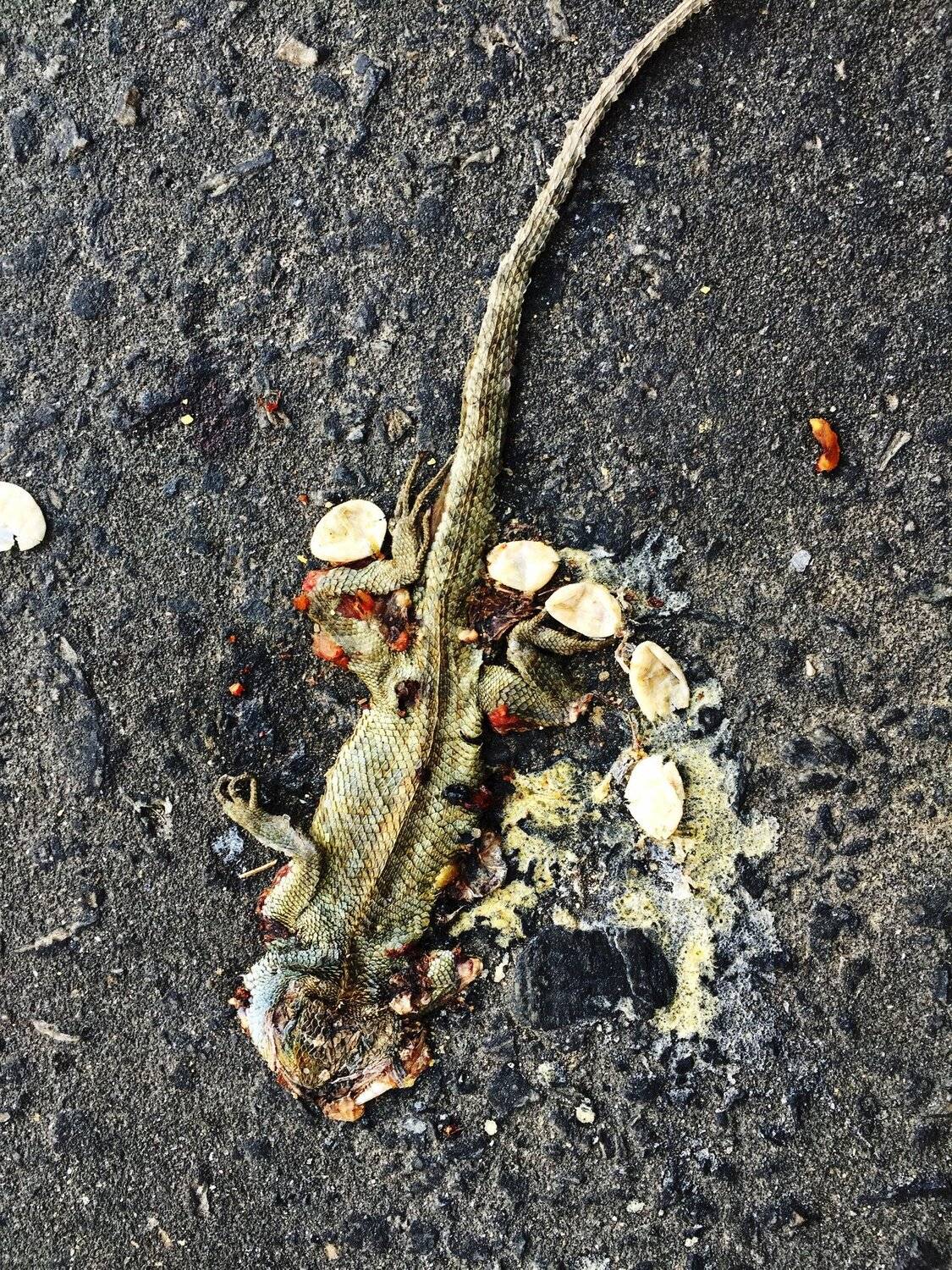 RIP