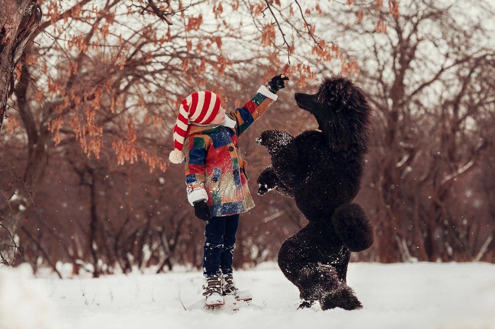 Зимний Буратино