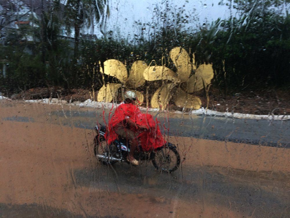 IN THE RAIN