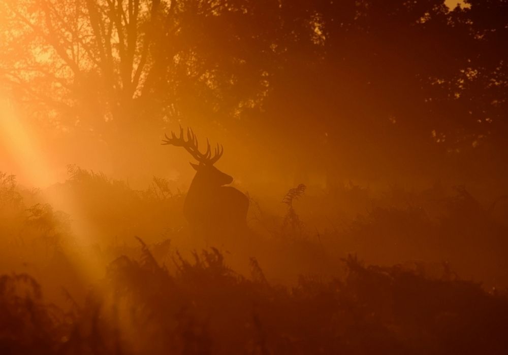 Photograph by robert fabroo