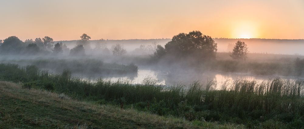 Туманный рассвет