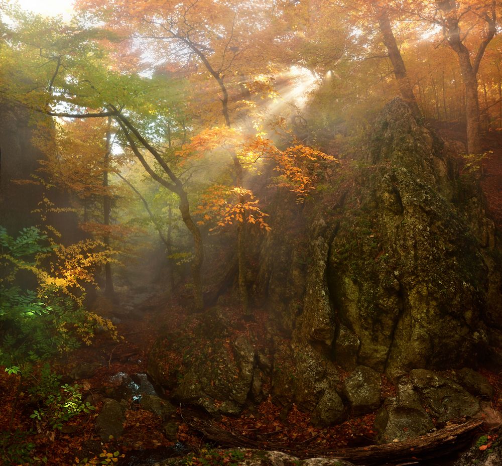 Фотография автора Владимир Метцгер