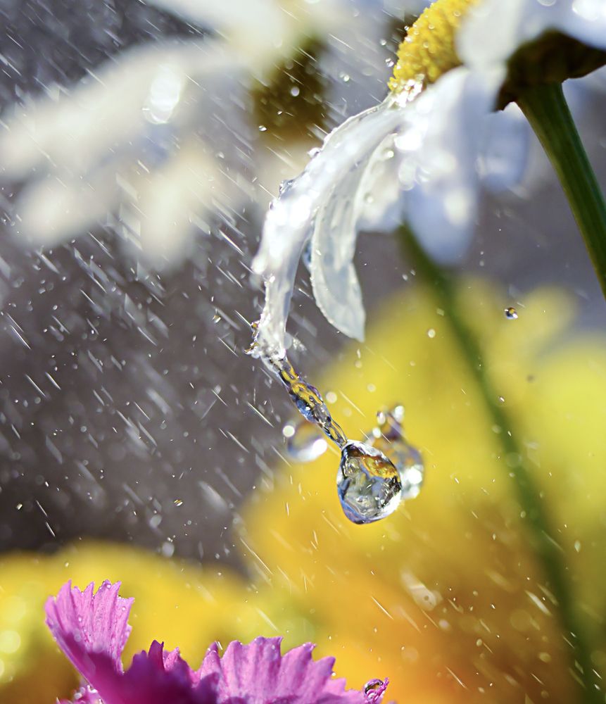 летний дождь