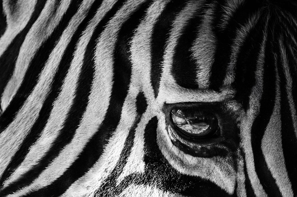 Фотография автора Alena Akerlund