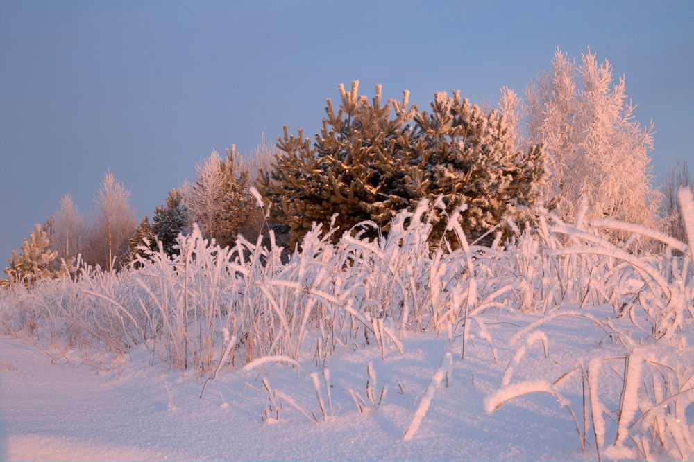 холодный февраль