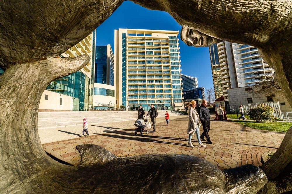 Олимпийский Университет в городе Сочи