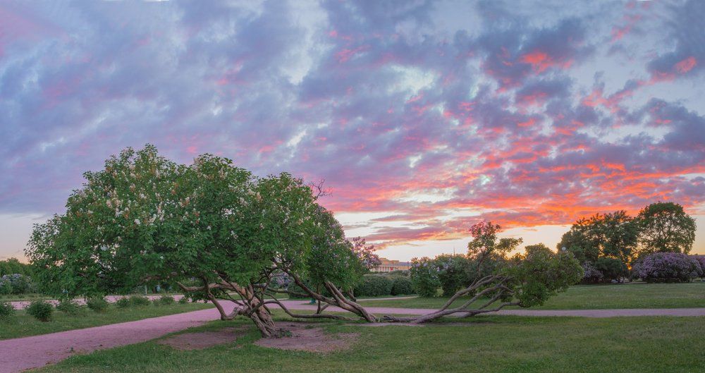 Багровые краски над марсовым полем.