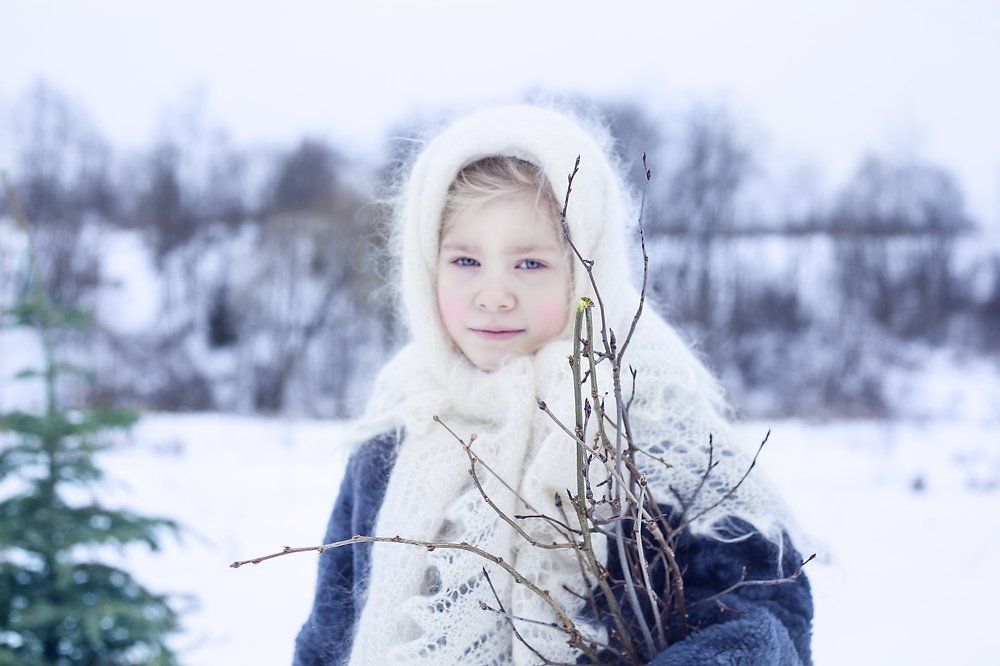 Из леса вестимо...