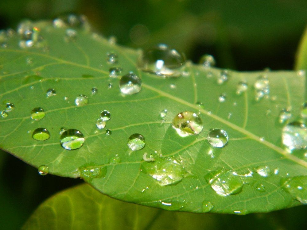 Photograph by Виктор