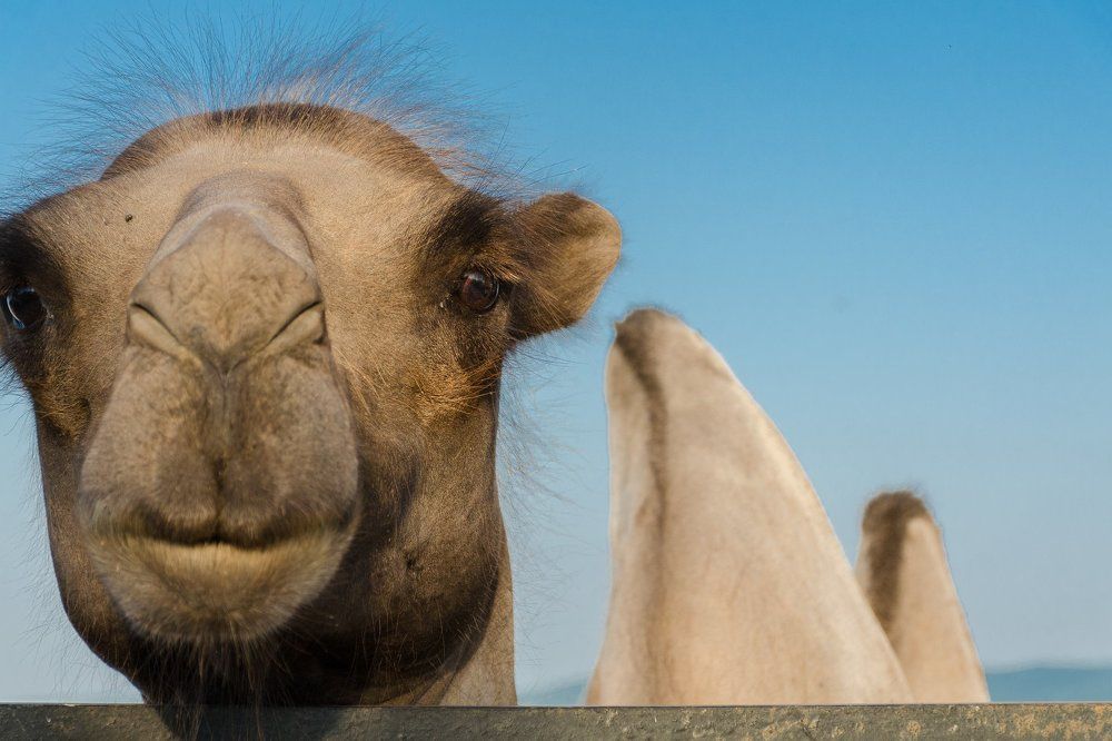 Photograph by Евгений Потапов