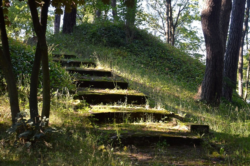 Дорога в прошлое