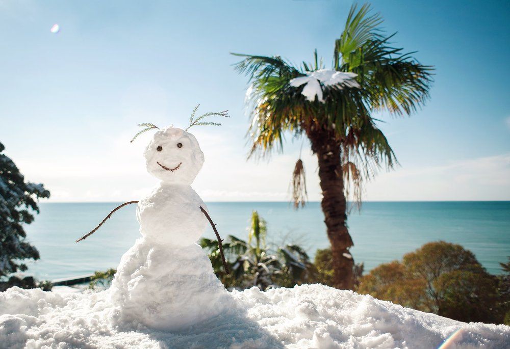 Снеговик в отпуске