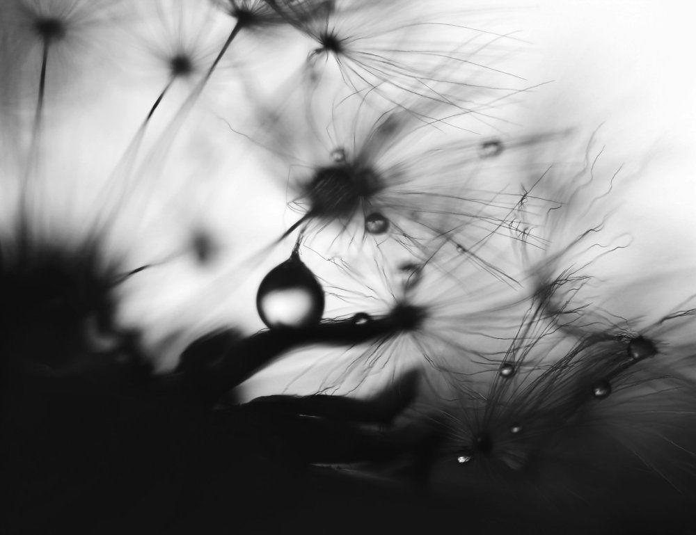 Photograph by Ольга Литвинова