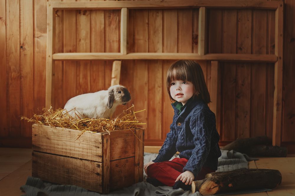 Малыш и кролик