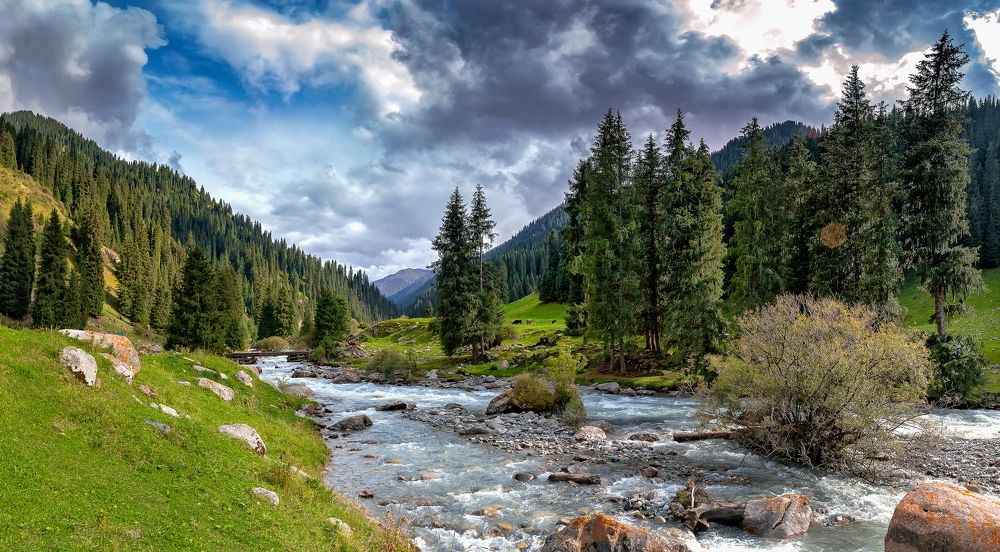 Перед грозой