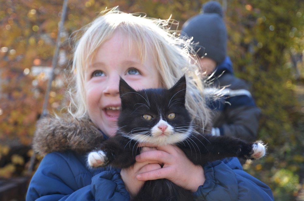 Долгожданный подарок.