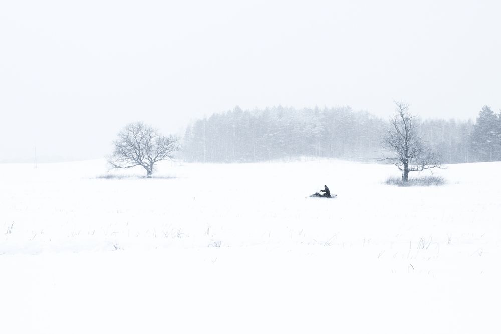 Photograph by Teresa Grinevskaya