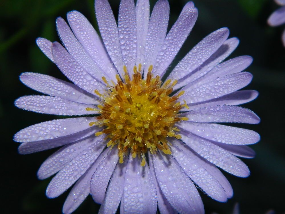 Photograph by Виктор