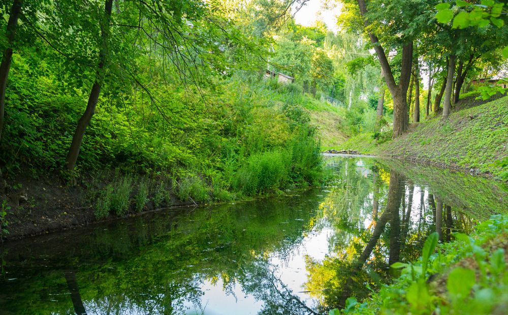 Изгиб ручья