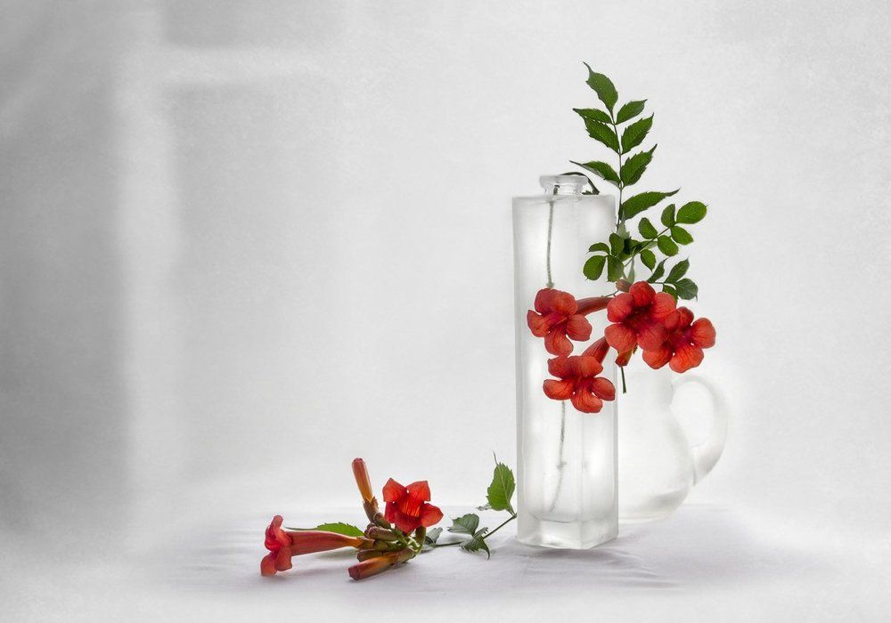 Загадочный кампсис...