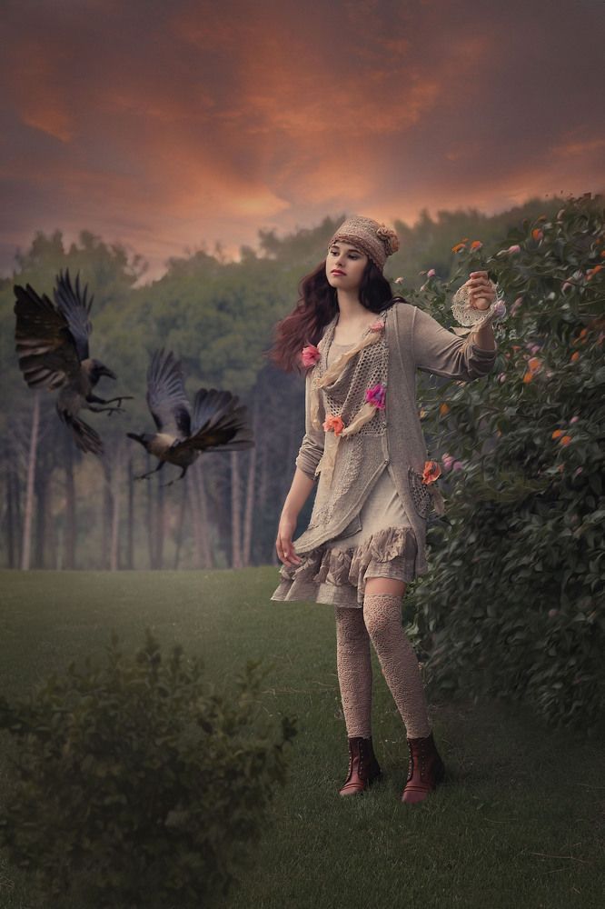 Вечерний лес