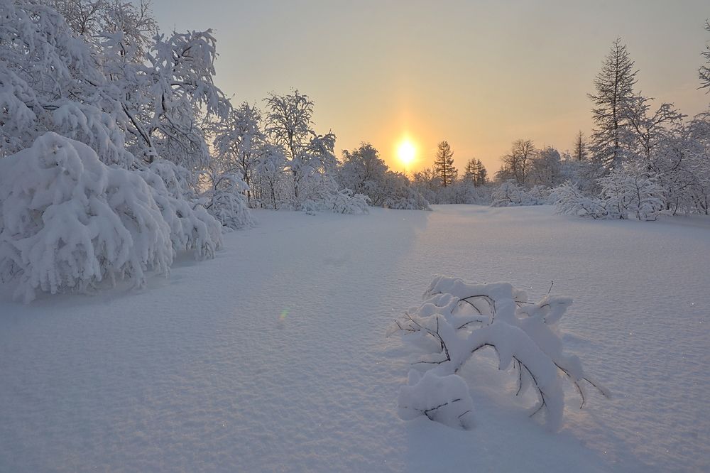 Заполярное солнце
