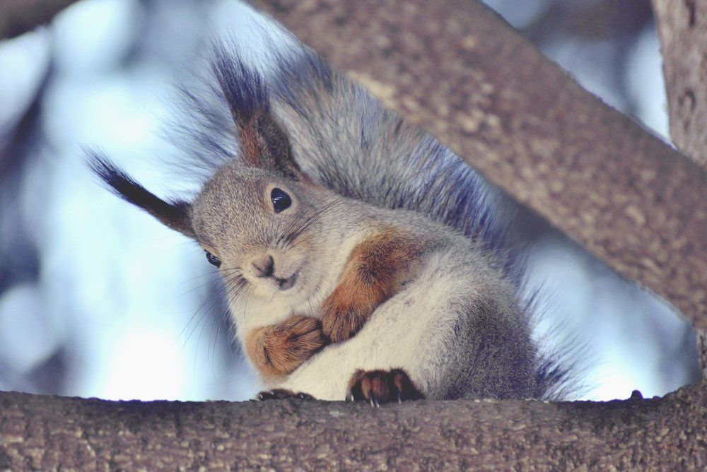 Photograph by Виктор Печищев