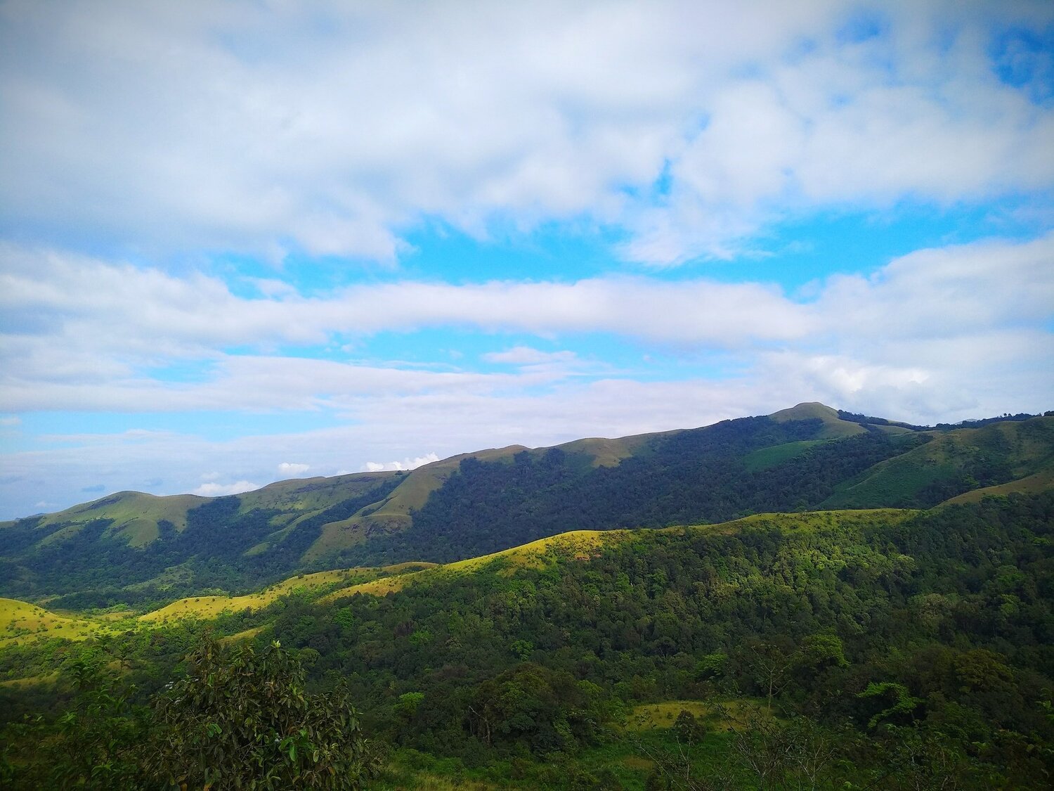 Nature