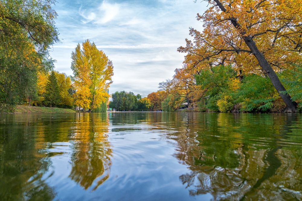 городской парк, Саратов