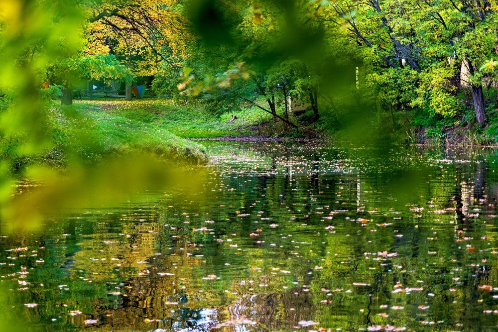 2 городской парк, Саратов