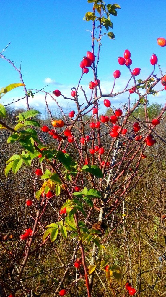 Photograph by Дмитрий