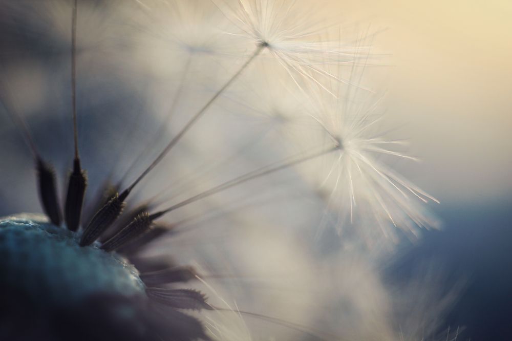 Photograph by Ольга Литвинова